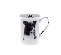 (BB9) SINGLE BONE CHINA BEAKER/ MUG/CUP BORDER COLLIE, Hand decorated Kirsty Jayne China