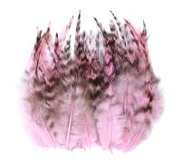 Bbajszx 100Pcs Vibranting Pheasant Plumage Great for Jewelry and Textile Art Stage Execution Quills
