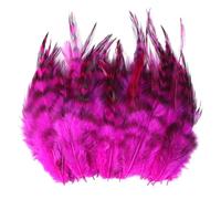 Bbajszx 100Pcs Vibranting Pheasant Plumage Great for Jewelry and Textile Art Stage Execution Quills