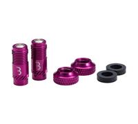 Bbb Corecap Valve Cap 2 Units One Size Violet