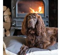 BBC Countryfile Blank Greeting Card (ABA-11899) - Cocker Spaniel - Photographic Card - Suitable for Any Recipient
