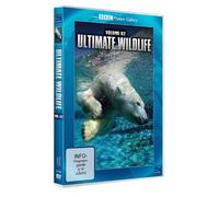 BBC Motion Gallery: Ultimate Wildlife, Vol. 2: Bären & Hunde [DVD]