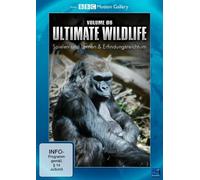 BBC Motion Gallery: Ultimate Wildlife Vol. 6: Spielen und Lernen & Erfindungsreichtum [DVD]