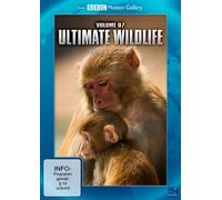 BBC Motion Gallery: Ultimate Wildlife Vol. 7: Kälte & Primaten [DVD]