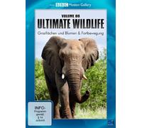 BBC Motion Gallery: Ultimate Wildlife Vol. 8: Grasflächen und Blumen & Fortbewegung [DVD]