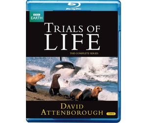 BBC TRIALS OF LIFE BLU-RAY Sir David Attenborough Documentary Brand New UK R2