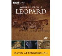 BBC Wildlife Specials: Leopard [DVD]