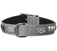 BBD Pet Products Bull Terrier Collar, One Size, 1/4 x 18 to 21-Inch, Grey