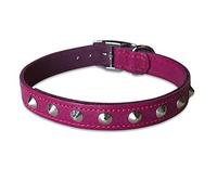 BBD PET PRODUCTS Studded Leather Collar, 16 - 18-Inch, Boysenberry