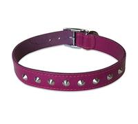 BBD PET PRODUCTS Studded Leather Collar, 18 - 21-Inch, Boysenberry
