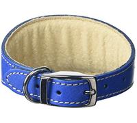 BBD Pet Products Whippet Collar, One Size, 3/4 x 10 to 12-Inch, Royal