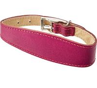 BBD PET PRODUCTS Whippet Deluxe Collar, Boysenberry