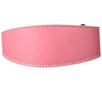 BBD Pet Products Whippet Slip Collar, One Size, 3/4 x 12 to 14-Inch, Pink