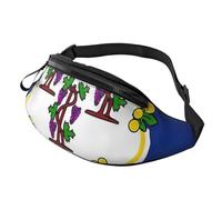 BBEXJIGY Connecticut State Flag Print Multifunctional Waist Pack -Your Good Companion for Hiking, Traveling Running, Black, One Size