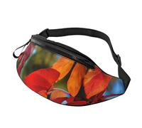 BBEXJIGY Fall Red Leaves and Fruits Print Multifunctional Waist Pack -Your Good Companion for Hiking, Traveling Running, Black, One Size