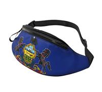 BBEXJIGY Pennsylvania State Flag Print Multifunctional Waist Pack -Your Good Companion for Hiking, Traveling Running, Black, One Size