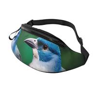 BBEXJIGY Two Birds Print Multifunctional Waist Pack -Your Good Companion for Hiking, Traveling Running, Black, One Size