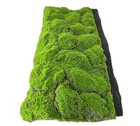 BBHW Artificial Moss Rug, Simulation Moss Fake Grass Mat for DIY Crafts, Realistic Woodland Decor Moss Turf, Faux Moss Centerpiece (Color : J, Size : 100 x 100 cm (39 3/8 x 39 3/8 in))