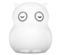 Bblnv - Night Light Owl - Touch And Remote Control NEW