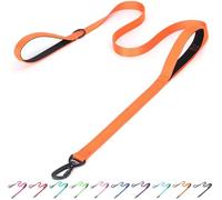 Bbmmayy Reflective Nylon Dog Leash - The Heavy Duty Hero Leash with Two Handles for Night Safety Training - for Small Medium Large Breed Pet Dogs (Orange, 6FT×1'')