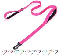 Bbmmayy Reflective Nylon Dog Leash - The Heavy Duty Hero Leash with Two Handles for Night Safety Training - for Small Medium Large Breed Pet Dogs (Hot Pink, 6FT×1'')