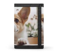 BBNMSJKS Crazy Save Manatee Print Trifold Wallet with ID Window & Key Ring | Slim Front Pocket Wallet with 8 Card Holder, Cute Corgi Cartoon, One size, Modern