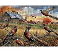 BBOLDIN Autumn Pheasant 1000 Piece Puzzle for Adults, Fall Animal Jigsaw Puzzle, Classic Style, Unisex, 27.6 x 19.7 inches, 1000 Pieces, 1 Set, 1 Puzzle
