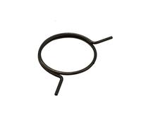 BBTISG 5 Pcs Door Handle Replacement Springs, Replacement Internal Coil Repair Spring Door Handle Springs Door Lever Knob Latch Replacement Home Door Repairing (FW-MSZNH)