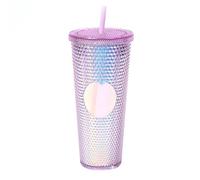 BBTISG 710ml Rivet Cup with Lid and Straw, Double Layer Reusable Ice Coffee Juice Cup for Children Adults Cold for Home, Office, Travel, School (Transparent Purple)