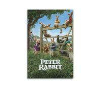 BBVCCL Pet Rabbit Cartoon Movie Poster Poster Decorative Painting Canvas Wall Posters And Art Picture Print Modern Family Bedroom Decor Posters 16x24inch(40x60cm)