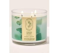 BBWs Aromatherapy Eucalyptus Spearmint Stress Relief 3-Wick Scented Candle, 14.5 oz / 411g, Soy Wax Blend, Fresh Herbal Spa Fragrance, 25-45 Hour Burn