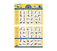 BC Vibrant Health Full Body Vibration Plate Exercise Chart Workout Poster for Vibration Plate Machine