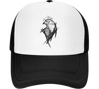 BCKLZRZHI Classic Baseball Caps Falconry Austringer Hawk Trucker Hats Drawing Mesh Net Baseball Cap Snapback Outdoor Hip Hop Adjustable Peaked Hat for Men Women Gift Cool