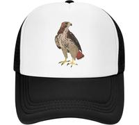 BCKLZRZHI Classic Baseball Caps Red Tailed Baseball Cap Falconry Austringer Hawk Mesh Net Hat for Men Women Hip Hop Trucker Hats Snapback Peaked Caps Gift Cool