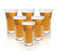 BCnmviku 6Pack Shot Glasses 65ML/2.2OZ Tequila Glasses Heavy Base Cordial Glasses