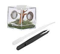 BCOATH 1 Set Small Transparent Reptile Breeding Box Portable Habitat for Jumping Spiders Snails Small Pets Lightweight Moisture Resistant Easy Observation Feeding Case for Pet Owners