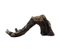 BCOATH 1pc Simulation Bark Shell Ornament Realistic Aquarium Decoration for Reptiles Spiders Amphibians Safe Landscaping Adornment for Fresh Environments