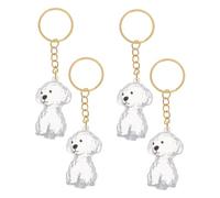 BCOATH 4pcs Transparent Dog Hair Memorial Keychain Lightweight Pet Hair Keepsake Capsule with Airtight Seal for Portable Tribute and Secure Storage Gift for Dog Owners