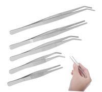 BCOATH 5pcs Stainless Steel Succulent Tweezers Small Gardening Tools for Transplanting Seedlings and Indoor Plant Care Includes Straight and Bent Tips for Precise Planting