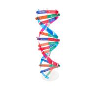 BCOATH Double Helix Model Dna Kit Science Educational Instrument Biology Teaching Aid Self-assembly Molecular Structure Learning for School and Home