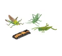 BCOATH Educational Locust Growth Cycle Model Plastic Insect Simulation for Early Childhood Biology Cognition Easy-clean Teaching Aid for Learning Life Stages and Development