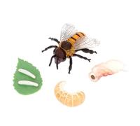 BCOATH Educational Mini Lobster Growth Cycle Model for Realistic Simulation Bee Evolution Figurines Montessori Ocean Animal Learning Kit Birthday Holiday
