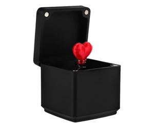 BCOATH Heart Shaped Plastic Valentine's Day Prank Gift for Her Creative Design Unique Black Trick Fun Experience Long Term Display for Birthdays and Special Occasions