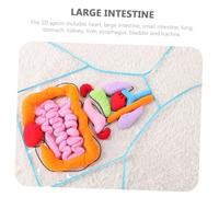 BCOATH Human Body Organs Apron Educational for Cotton Plastic Material Preschool Anatomy Learning Aid for Body Part Recognition and Early Cognitive Development