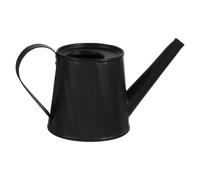 BCOATH Indoor Watering Can Made of Galvanised Iron with Convenient Handle, Mini Garden Water Jug for Bonsai and Succulent Plants, for Placing on Desks and Tables a Charming Decorative