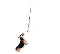 BCOATH Interactive Dog Extendable Flirt Pole for Chasing Black Engaging Pet Teaser for Fun and Exercise
