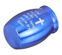 BCOATH Memorial Ashes Urn Box for Pets and Loved Ones Metal Cremation Keepsake with Fine Carving Blue Urn for Cat Dog Parrot Ashes Storage Compact and Vibrant