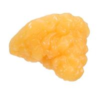 BCOATH Realistic Fat Anatomy Model for Teaching and Nutrition Education, 1 Lb Tpe Human Body Fat Demonstration Tool, Easy to Clean, for Laboratory and Science Lessons
