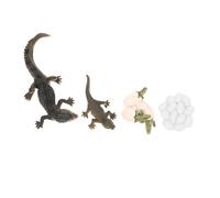 BCOATH Realistic Life Cycle Figure Growth Model Educational for Early Learning Prop for Storytelling and Nature Exploration Preschool Teaching Aid