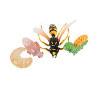 BCOATH Realistic Wasp Growth Model Educational Insect Cognitive Display for Safe Learning Enhances Imagination and Nature Awareness